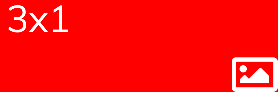 3x1-rood